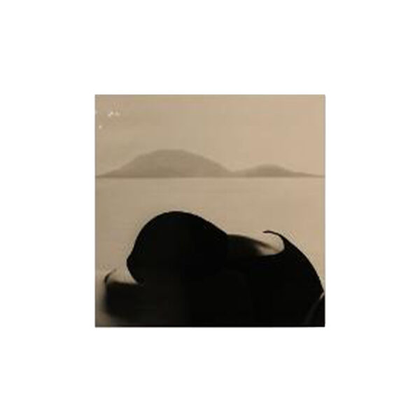 "Untitled #9" Gelatin Print by Noell Oszvald