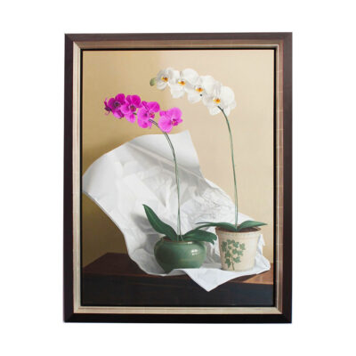 Original oil on canvas still life painting by Renato Meziat titled Orchids with Paper, 2013, depicting magenta and white phalaenopsis orchids in ceramic pots with crumpled white tissue paper on a dark surface, framed in dark wood and gilt