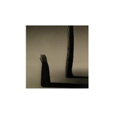 "Untitled #1" Gelatin Print by Noell Oszvald