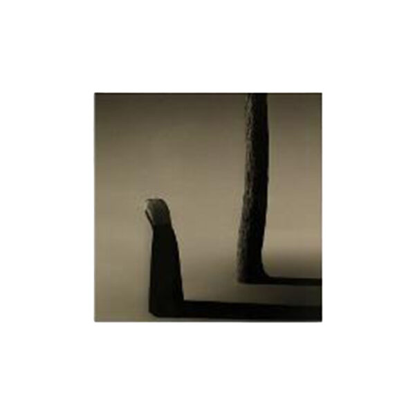"Untitled #1" Gelatin Print by Noell Oszvald