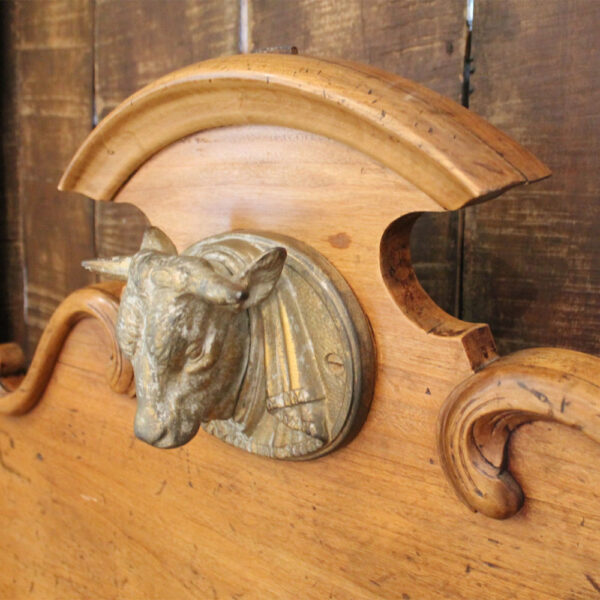 cow head detail
