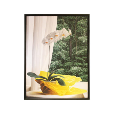 Renato Meziat Oil on Canvas “Oquídea com Amarelo,” 2012